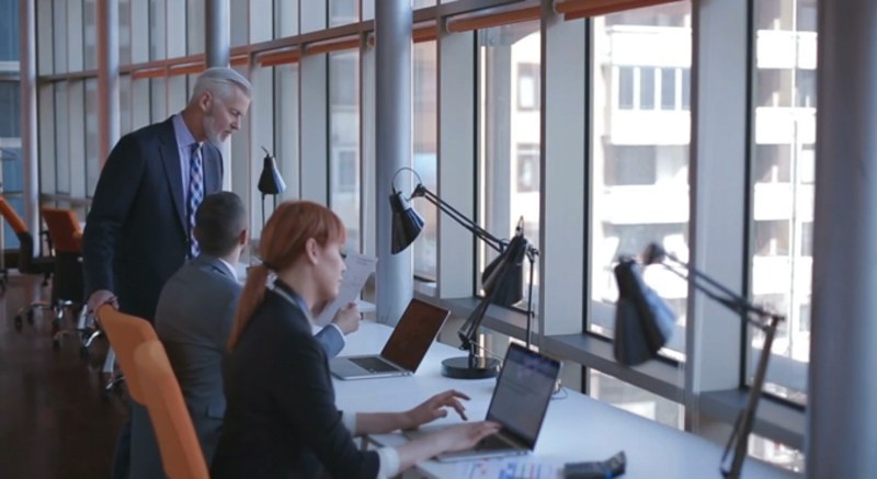 Situational Leadership Theory (Go1)